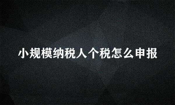 小规模纳税人个税怎么申报