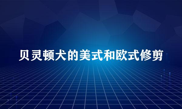 贝灵顿犬的美式和欧式修剪