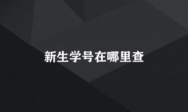 新生学号在哪里查