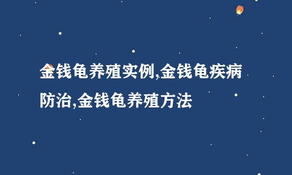 金钱龟养殖实例,金钱龟疾病防治,金钱龟养殖方法