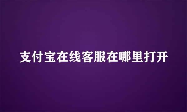 支付宝在线客服在哪里打开