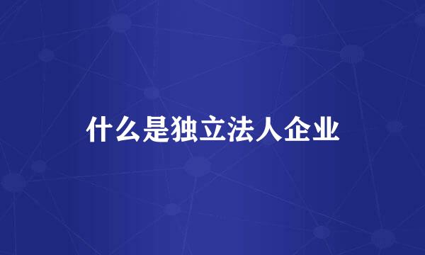 什么是独立法人企业