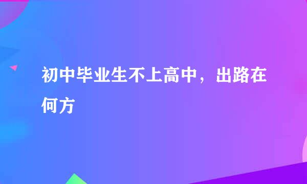 初中毕业生不上高中，出路在何方