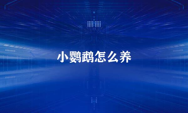 小鹦鹉怎么养