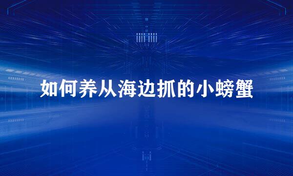 如何养从海边抓的小螃蟹