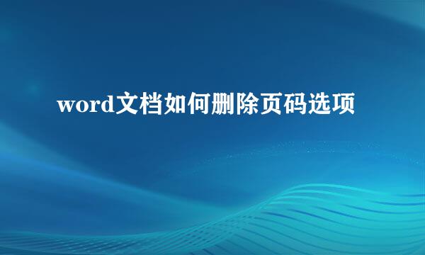 word文档如何删除页码选项