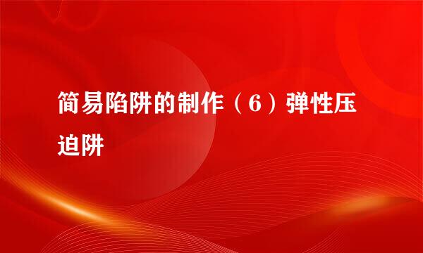 简易陷阱的制作（6）弹性压迫阱