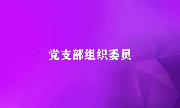 党支部组织委员