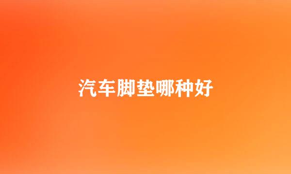 汽车脚垫哪种好