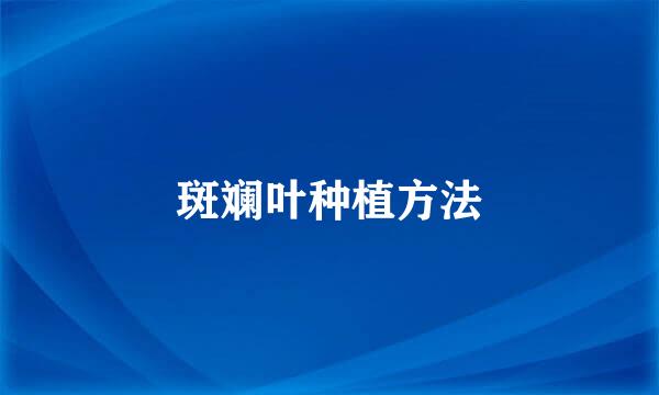 斑斓叶种植方法