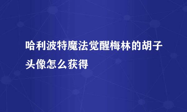 哈利波特魔法觉醒梅林的胡子头像怎么获得