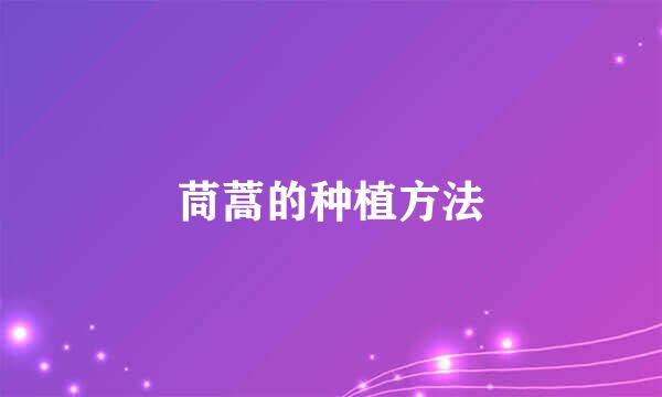 茼蒿的种植方法