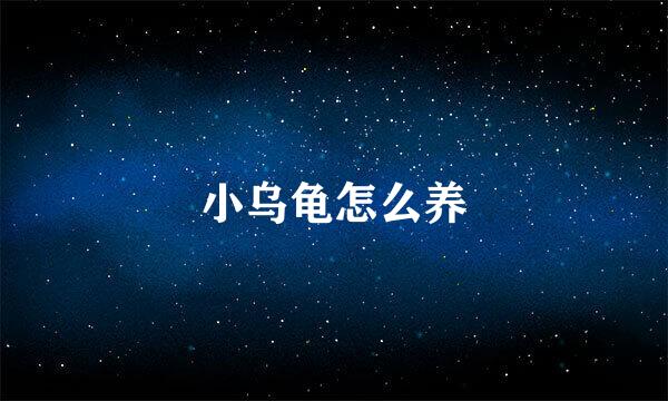 小乌龟怎么养