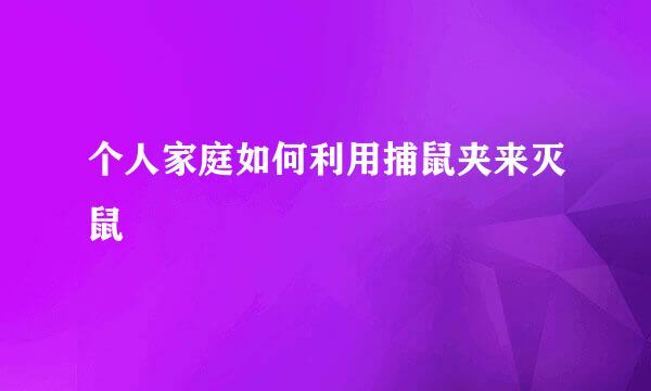 个人家庭如何利用捕鼠夹来灭鼠