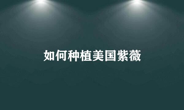 如何种植美国紫薇