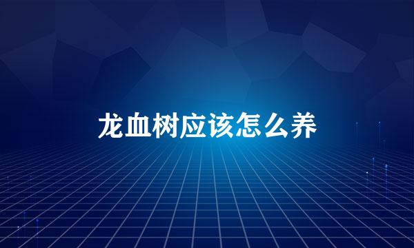 龙血树应该怎么养