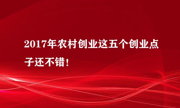 2017年农村创业这五个创业点子还不错！