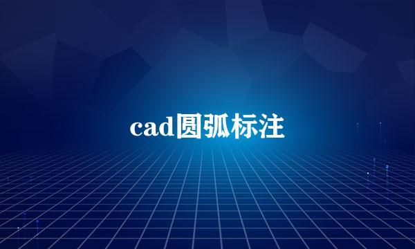 cad圆弧标注