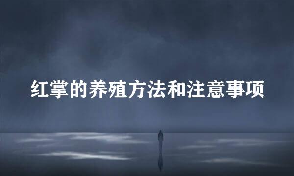 红掌的养殖方法和注意事项