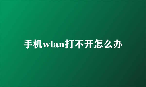 手机wlan打不开怎么办