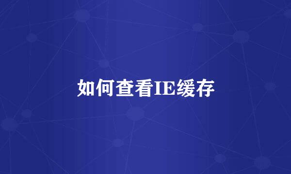 如何查看IE缓存