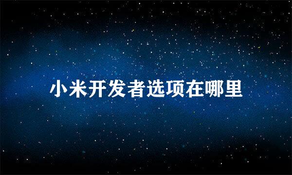 小米开发者选项在哪里