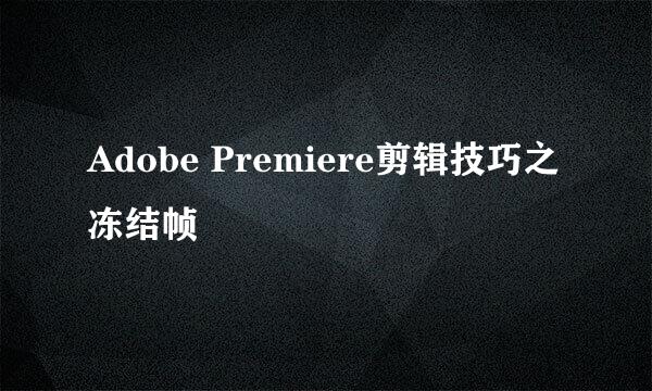 Adobe Premiere剪辑技巧之冻结帧