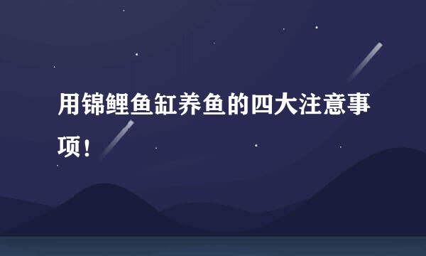 用锦鲤鱼缸养鱼的四大注意事项！