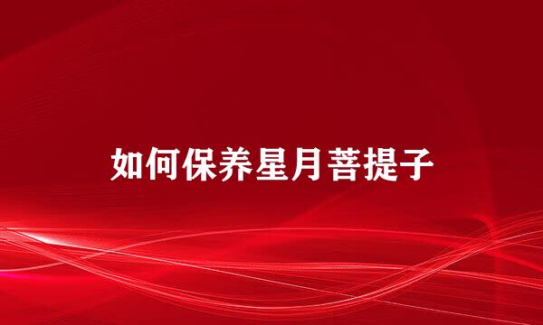 如何保养星月菩提子