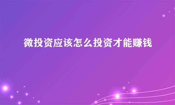 微投资应该怎么投资才能赚钱