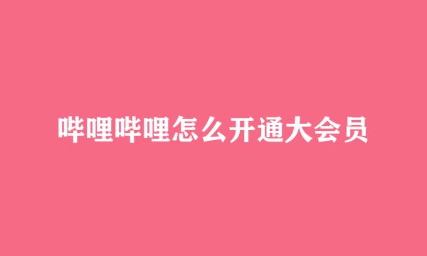 哔哩哔哩怎么开通大会员