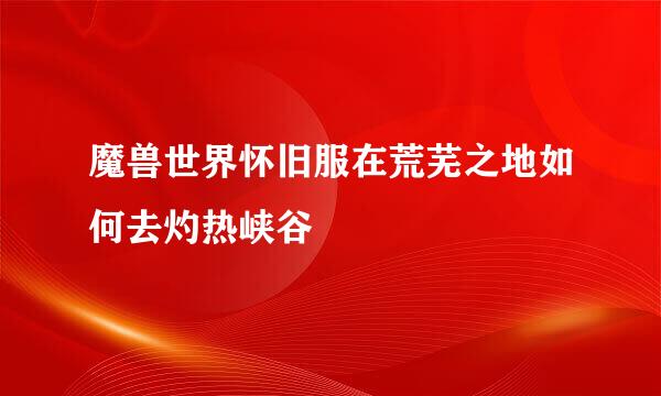 魔兽世界怀旧服在荒芜之地如何去灼热峡谷