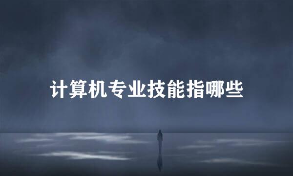 计算机专业技能指哪些