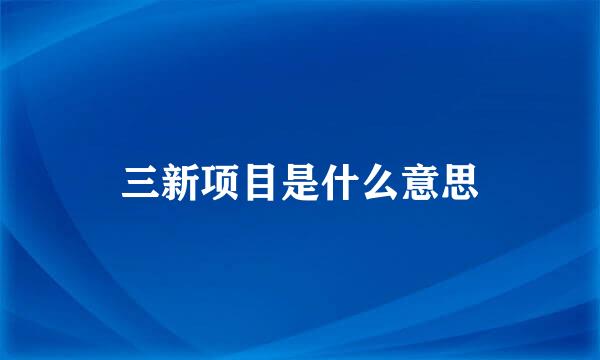 三新项目是什么意思