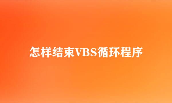 怎样结束VBS循环程序