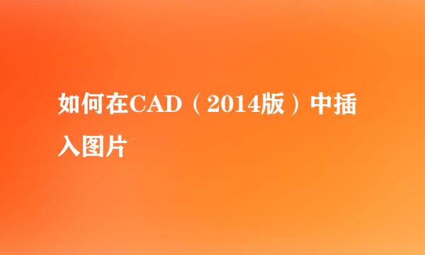 如何在CAD（2014版）中插入图片