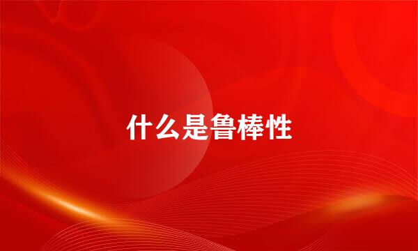 什么是鲁棒性
