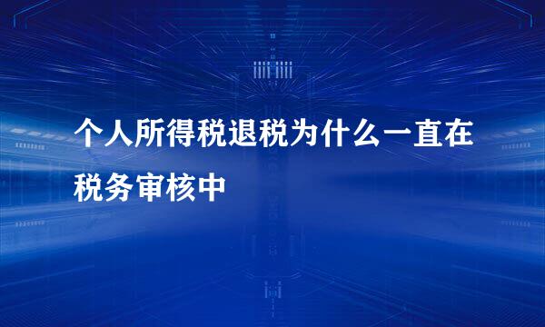 个人所得税退税为什么一直在税务审核中