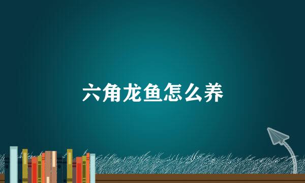 六角龙鱼怎么养