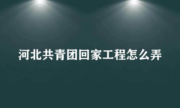 河北共青团回家工程怎么弄