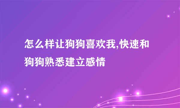 怎么样让狗狗喜欢我,快速和狗狗熟悉建立感情