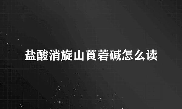 盐酸消旋山莨菪碱怎么读