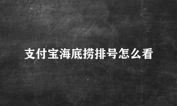 支付宝海底捞排号怎么看