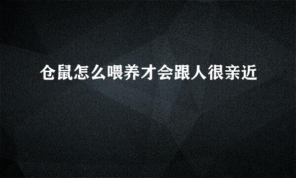 仓鼠怎么喂养才会跟人很亲近