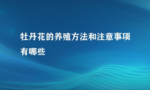 牡丹花的养殖方法和注意事项有哪些