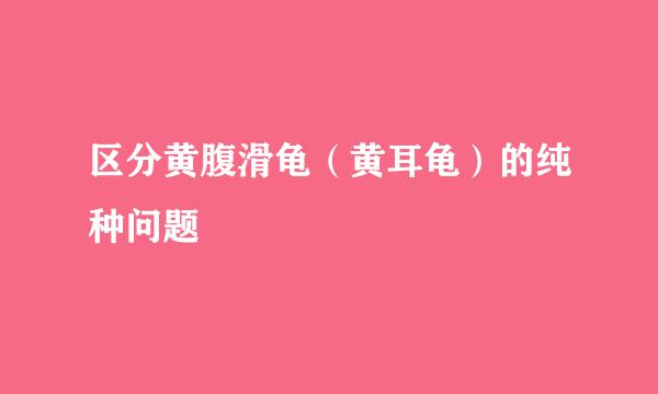 区分黄腹滑龟（黄耳龟）的纯种问题