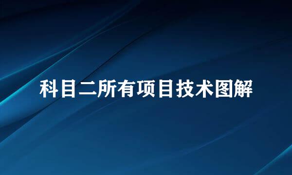 科目二所有项目技术图解