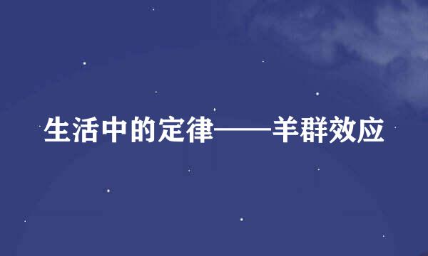 生活中的定律——羊群效应
