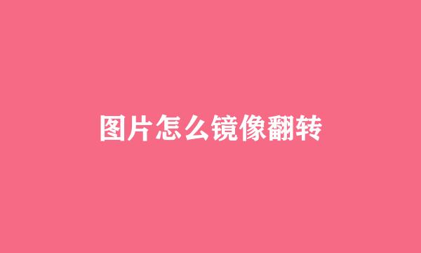 图片怎么镜像翻转