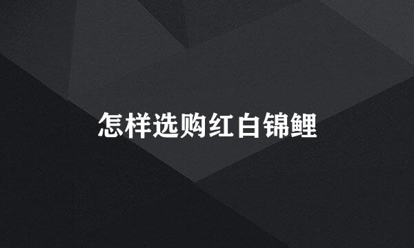 怎样选购红白锦鲤